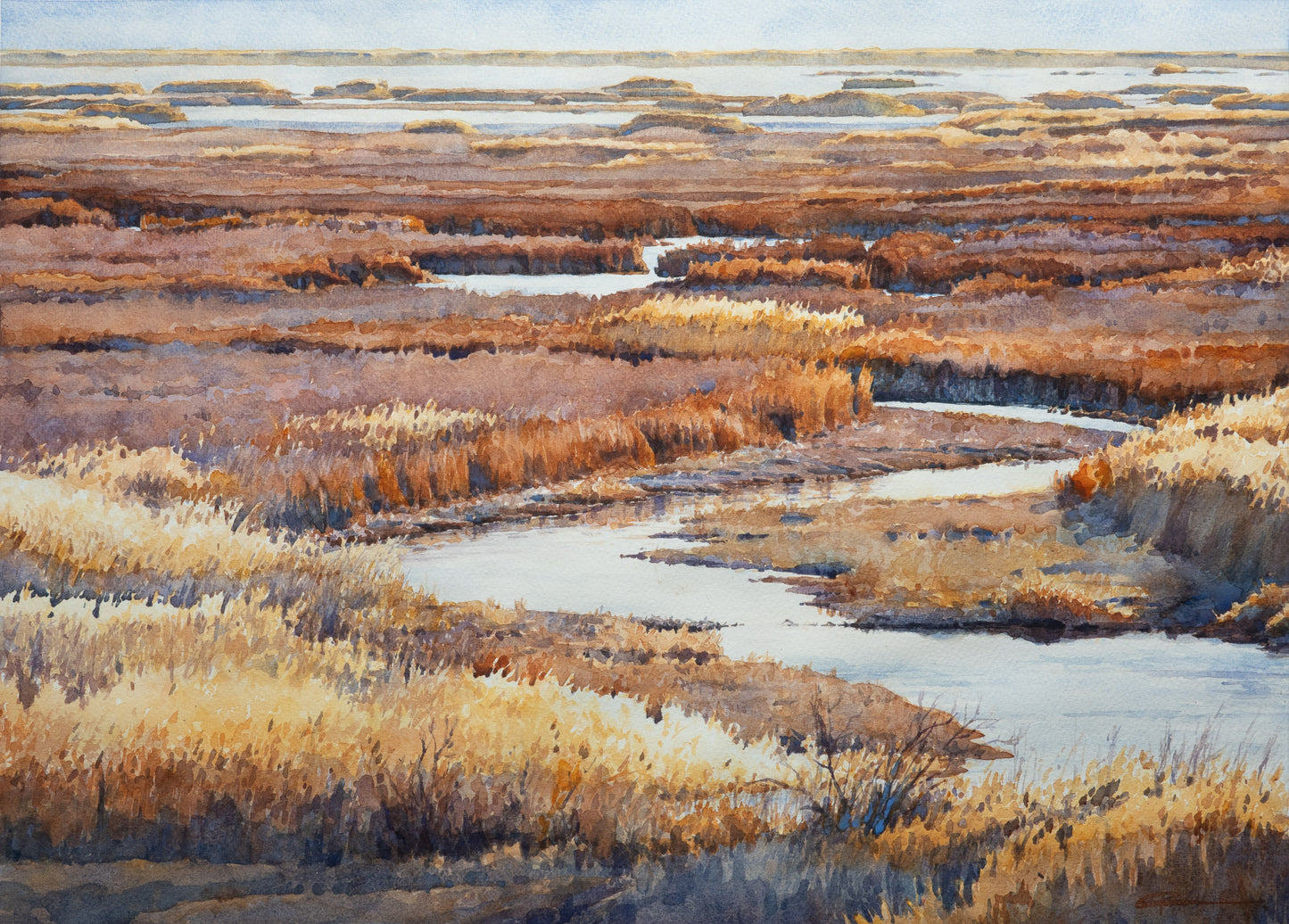 Marsh Beaver Dam