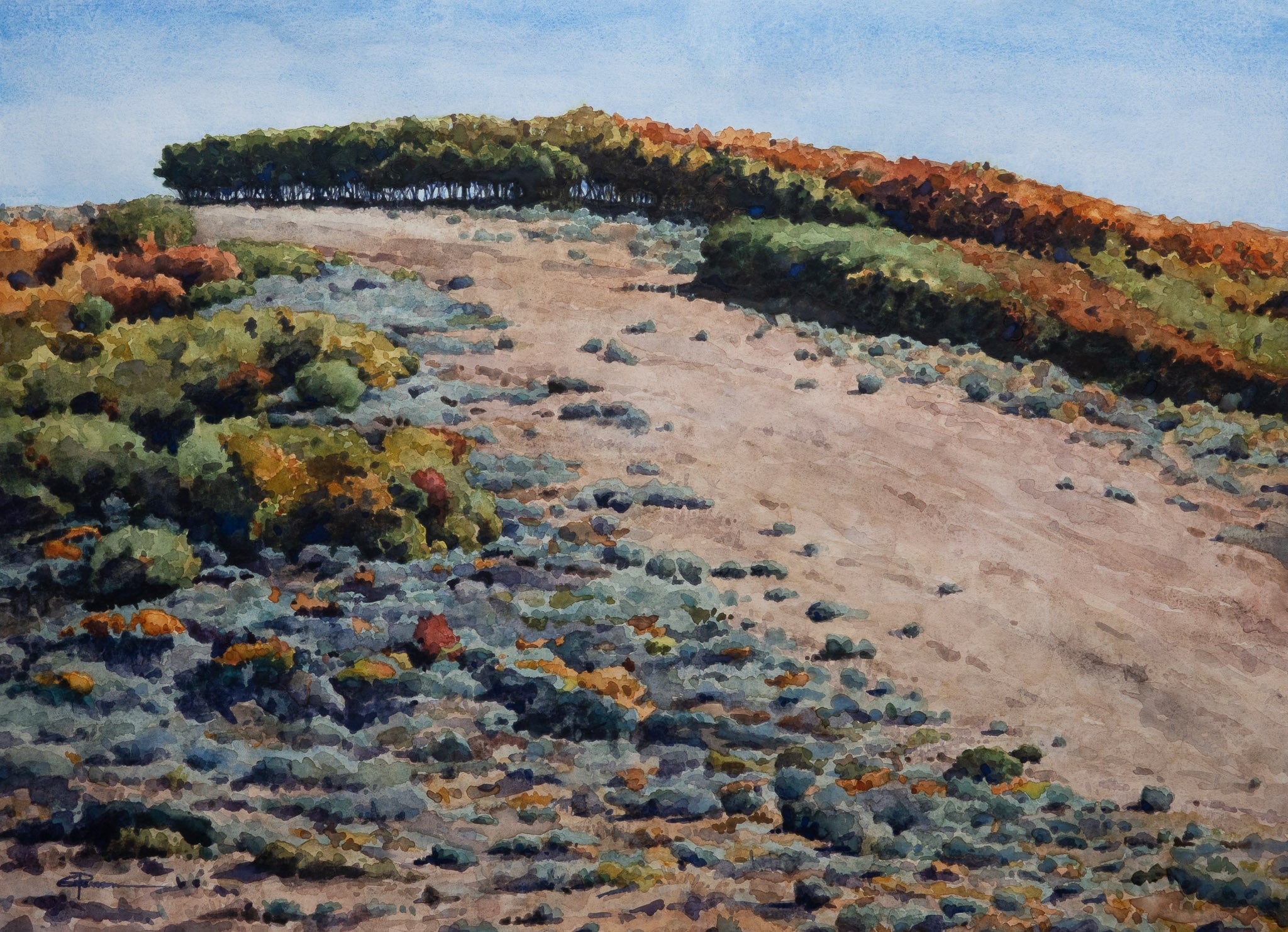 Cerro Summit – GPearson Art